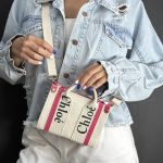 کیف مینی کلو - کد 2195